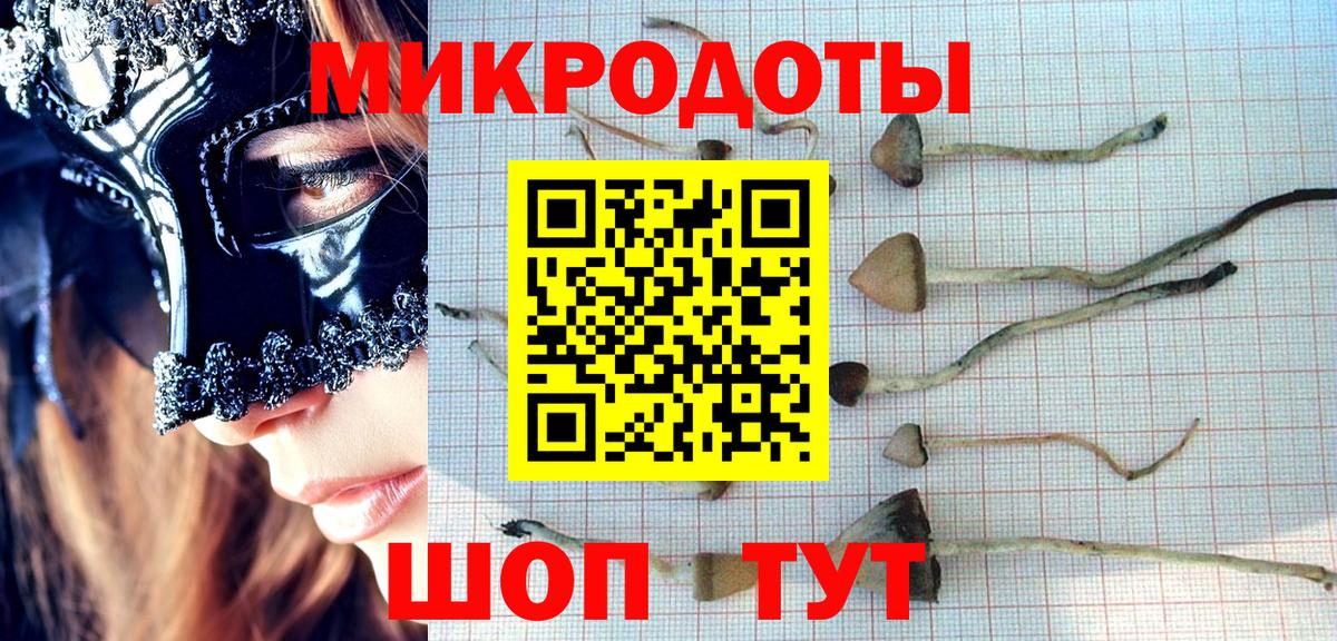Галлюциногенные грибы GOLDEN TEACHER Отрадное